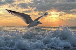 Seagull soaring over gentle waves at a serene beach under a cloudy sky in the afternoon photo