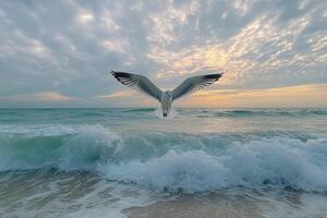 Seagull soaring over gentle waves at a serene beach under a cloudy sky in the afternoon photo
