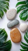 Arrangement of smooth stones surrounded by tropical leaves on a light background photo