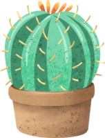 the cactus watercolor painting png