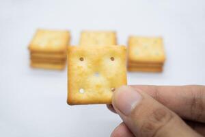 biscuits in hand isolated on white background. photo