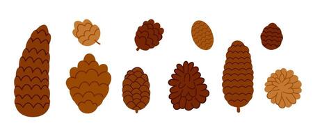 Diverse Pinecone Collection vector