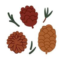 Pinecone, Fircone Autumn, Winter Elements Set vector