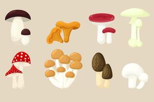 Mushroom set. Collection of different types forest mushroom. fly agaric, chanterelle, morel, porcini, russule, champignon, armillaria, death cap. illustration vector