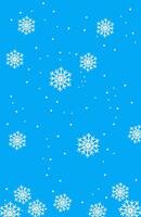 Potrait of white snowflakes on a sky blue background for christmas vector