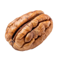Closeup Pecan isolate on transparency background png