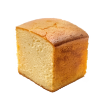 Poundcake side view full length isolate on transparency background png