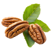 Closeup Pecans with leaves isolate on transparency background png