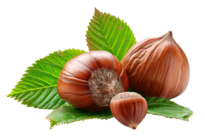 Hazelnuts on a transparent background. png