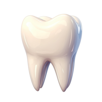 3D tooth on a transparent background. png