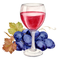 Glass of red wine and blue grapes. Illustration of a bunch of grapes with purple berries and leaves lying on a table. Clipart for wine labels, winery, cafe, restaurant. png