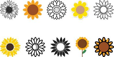 Sunflower icon set collection design vector