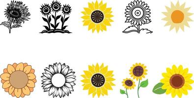 Sunflower icon set collection vector