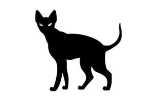 Sphynx Cat Silhouette isolated on a white background vector
