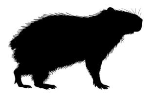 Capybara Silhouette isolated on a white background vector