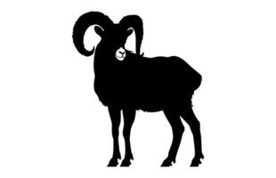 Bighorn Sheep Silhouette isolated on a white background vector