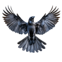 Majestic Raven Gliding in the Open Sky with Outstretched Wings png