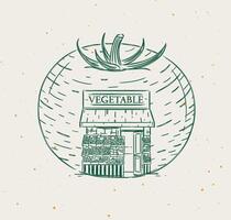 Tomato vegetable a storefront of grocery store drawing in vintage style on beige background vector