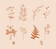 Set of leaves and branches floral style drawing in mustard color on beige background vector