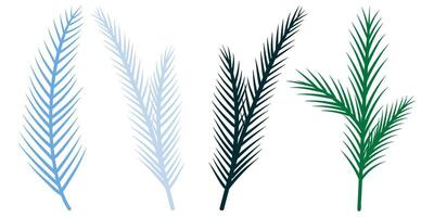 Set of spruce twigs, pines branches illustration, foliage, fir, winter branch elements. vector