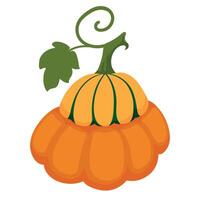 Decorative autumn pumpkin with leaf isolated on white background. Fall harvest gourds. Element for autumn decorative design, thanksgiving invitation vector