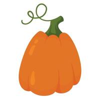 Decorative autumn pumpkin isolated on white background. Fall harvest gourds. Element for autumn decorative design, Halloween, Thanksgiving invitation vector