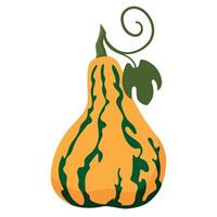 Decorative autumn squash pumpkin with leaf isolated on white background. Fall harvest gourds. Element for autumn decorative design, thanksgiving invitation vector