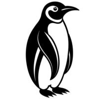 A penguin is standing in front of a white background vector