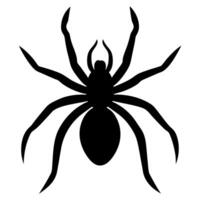 A black spider silhouette on a white background vector