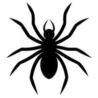A black spider on a white background vector