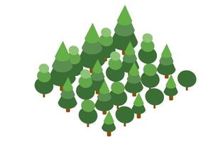 A group of trees in a forest vector