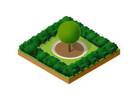 Isometric view of a park with a tree in the middle vector