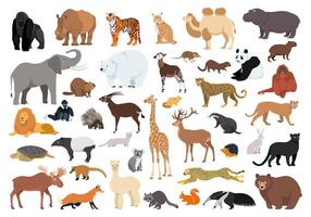 Big set of wild animals. Collection of cute characters of animal world in flat style, isolated on white vector