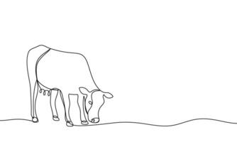 Banner continuous line cow with head down, eating grass. Domestic cattle. Animal. Linear minimal style. Illustration vector