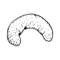 A hand drawn illustration of a vanilla crescent shaped cookie with a textured. Monochrome sketch of crumbly, soft pastry, ideal for bakery branding, culinary projects, or food themed designs. vector