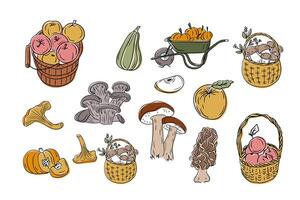 Hand drawn collection of autumn harvest doodles including apples, mushrooms, pumpkins, and squash in rustic style isolated on white background vector