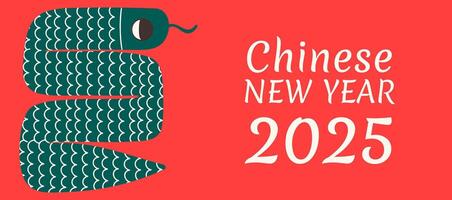 Chinese new year background with snake. vector