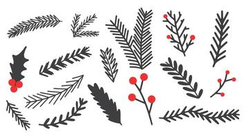 Hand draw winter floral set. Branches, leaves and berries on isolated background. Doodle decorative collection. vector