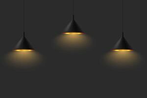 Modern black ceiling lamp ceiling luminaire set vector
