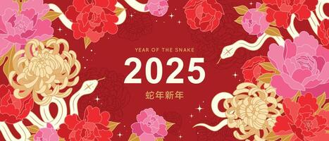 Traditional poster with peonies, chrysanthemums, snakes and linear flowers. Happy Chinese New Year background with lunar symbol of the snake. Red chinese modern design. vector