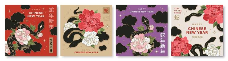 Set of chinese New Year banners with snake symbol. Design templates with flowers, clouds, stars, snakes and hieroglyphic means snake new year and symbol of snake vector