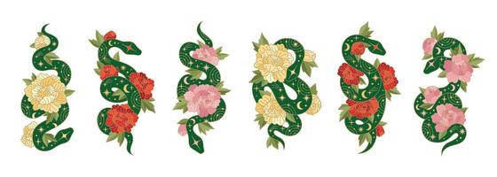 Set of Chinese New Year symbols. Green snakes with lunar patterns and peonies. Traditional Chinese lunar symbols with flowers. Isolated on white background vector