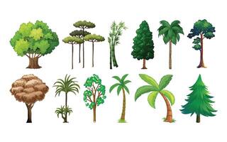 Various types of trees and plants vector