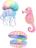 Marine animals include a jellyfish, seashell with a pearl and a seahorse, Watercolor Hand-drawn Illustration png