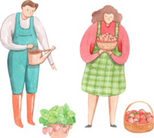 a man waters plants while a woman holds a bowl of fresh strawberries, strawberry festival, hand-drawn watercolor illustration png