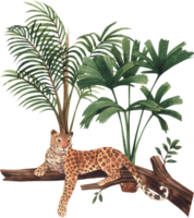 Leopard wildlife watercolor hand drawn png