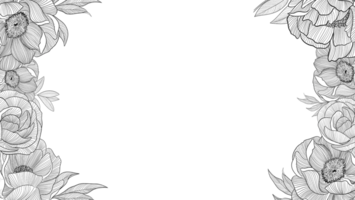 Horizontal frame poppy and rose illustrations in line art style, digital painting png