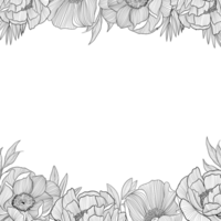 Square frame with poppies and tropical leaves illustration in line art style, digital painting. png