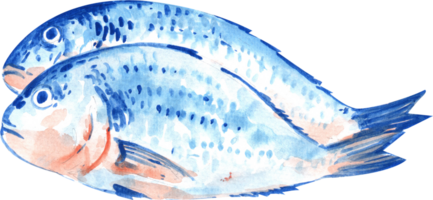 Two blue fish stacked neatly, arranged for serving, hand-drawn watercolor painting illustration png