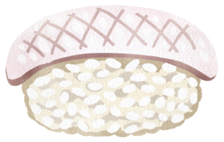Sushi topped with white cod, showcasing its tender texture and glistening appearance, hand-drawn watercolor painting illustration png